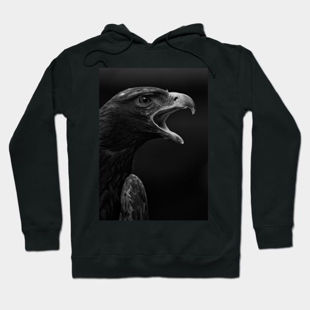 Golden Eagle Portrait Hoodie by SHWILDLIFE